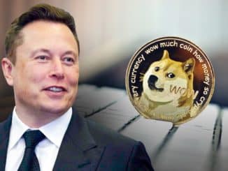 Elon Musk DOGE