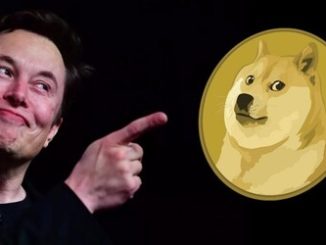 Elon Musk Dogecoin DOGE