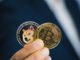 Dogecoin DOGE Bitcoin BTC