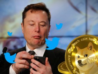 Dogecoin DOGE Elon Musk Twitter