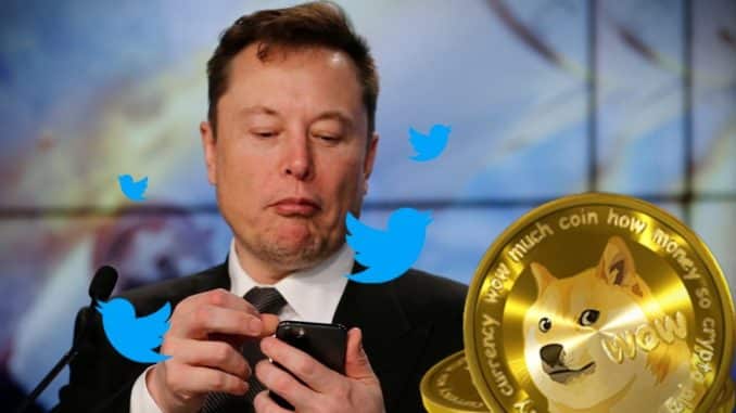 Dogecoin DOGE Elon Musk Twitter