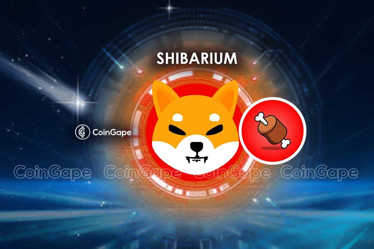 Shibarium shiba inu bone