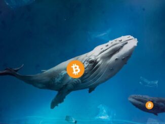 Ballenas bitcoin BTC