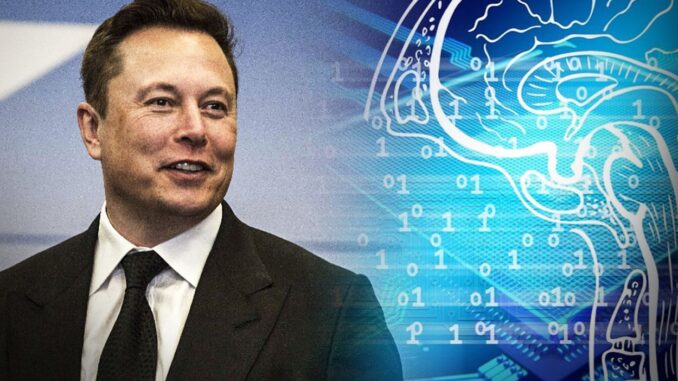 Elon Musk IA inteligencia artificial