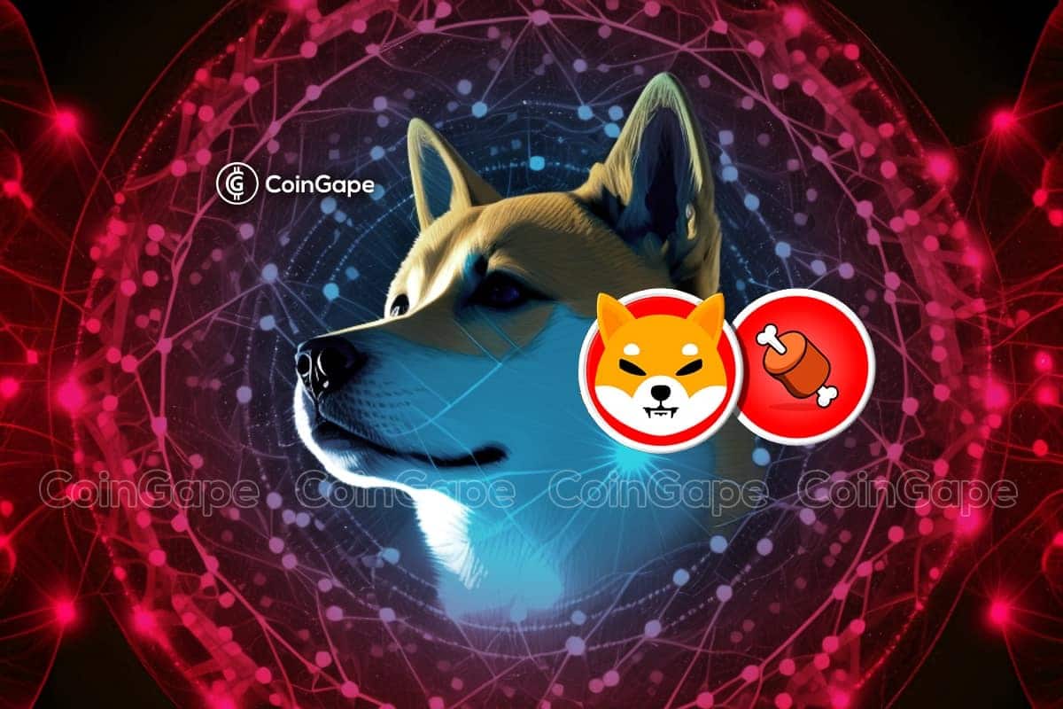 Binance Shiba Inu activos colaterales BONE