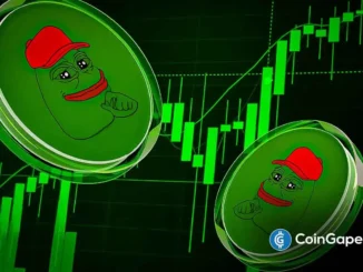 Precio Pepe